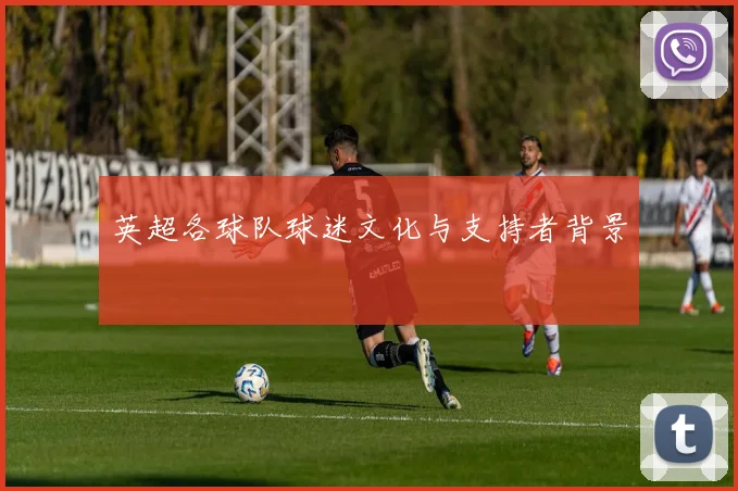 英超各球队球迷文化与支持者背景
