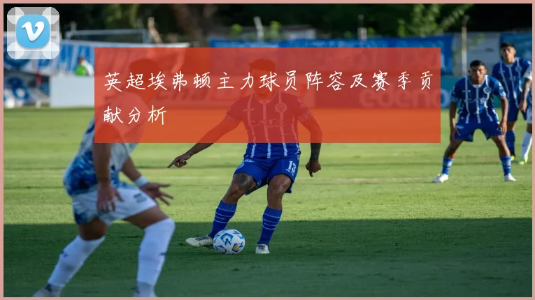 英超埃弗顿主力球员阵容及赛季贡献分析