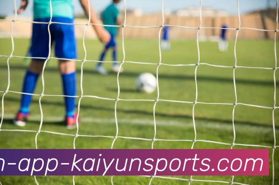 App Interface Preview